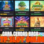 RTP LIVE SLOT