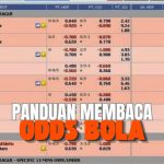 panduan membaca odds bola